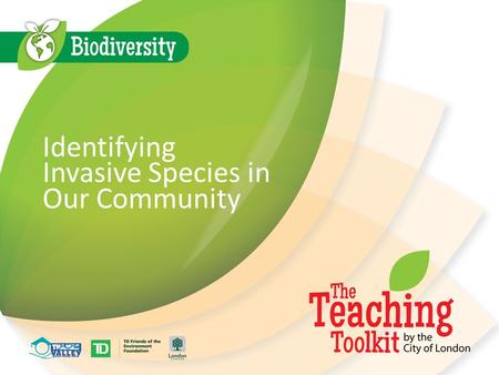 Identifying Invasive Species in Our Community. Identifying Species Currently there are 8.7 million identified species on Earth There are new species that.