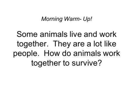 Morning Warm- Up! Some animals live and work together. They are a lot like people. How do animals work together to survive?