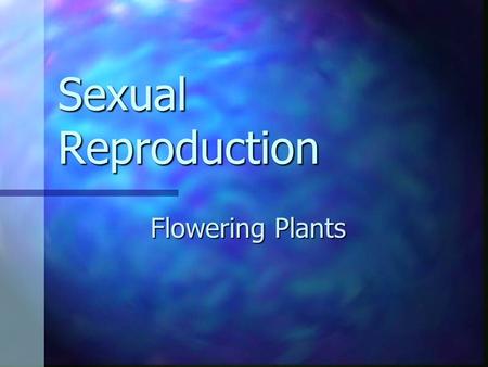 Sexual Reproduction Flowering Plants. Two Types of Seed Producing Plants 1. Angiosperms 1. Angiosperms Flowering plants Flowering plants 2. Gymnosperm.