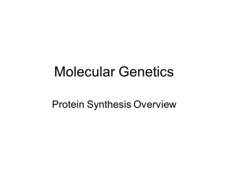 Molecular Genetics Protein Synthesis Overview. The Central Dogma DNA contains the blueprint for protein synthesis, but proteins are synthesized outside.