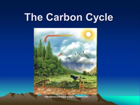 The Carbon Cycle http://library.thinkquest.org/11226/why.htm.