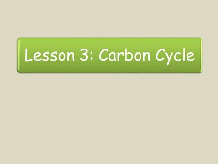 Lesson 3: Carbon Cycle. Lesson Objectives To know why things decay To know why decay is such an important process To know what happens in the carbon cycle.
