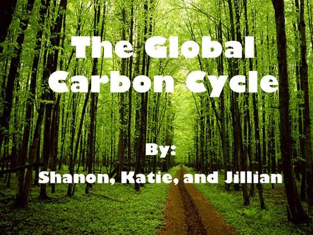 The Global Carbon Cycle By: Shanon, Katie, and Jillian.