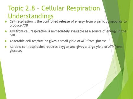 Topic 2.8 – Cellular Respiration Understandings  Cell respiration is the controlled release of energy from organic compounds to produce ATP.  ATP from.