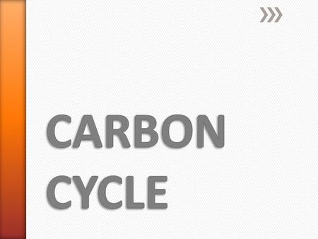 » CARBON CYCLE: Carbon is cycled between the atmosphere, land, water & organisms.