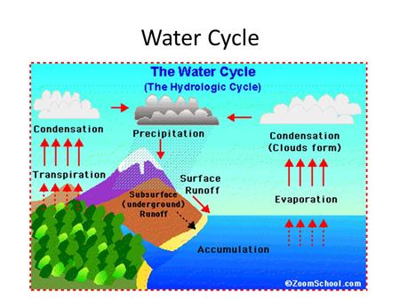 Water Cycle. Transpiration: Excess water is evaporated off the leaves of plants. Evaporation: Water in oceans, lakes, and ponds changes from liquid water.