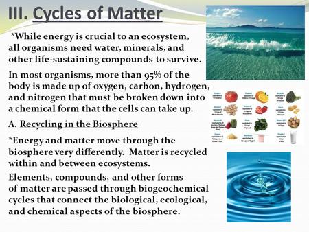 III. Cycles of Matter *While energy is crucial to an ecosystem, all organisms need water, minerals, and other life-sustaining compounds to survive. In.