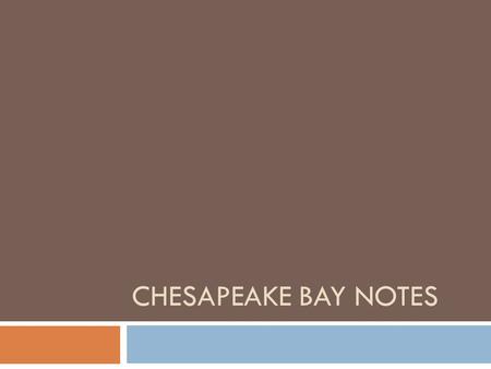 CHESAPEAKE BAY NOTES. Estuary:  Body of water where fresh and salt water mixes  Largest of the 130 estuaries in the United States.