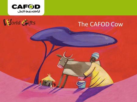 Www.cafod.org.uk The CAFOD Cow. “It wasn't easy to train the animals at first, but now I know how to work with them and they know me. “ Charles.