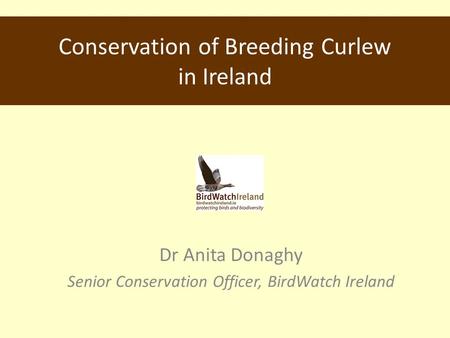 Conservation of Breeding Curlew in Ireland Dr Anita Donaghy Senior Conservation Officer, BirdWatch Ireland.