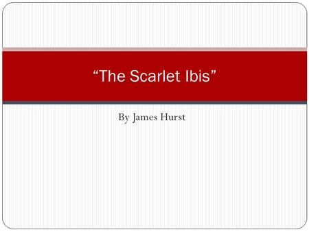 “The Scarlet Ibis” By James Hurst.