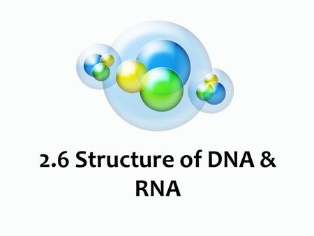 2.6 Structure of DNA & RNA. Nucleic Acids What do we know already?