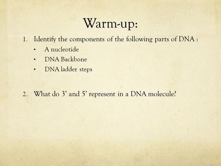 Warm-up: Identify the components of the following parts of DNA :