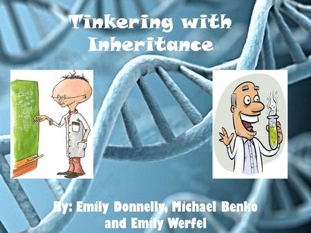 Tinkering with Inheritance By: Emily Donnelly, Michael Benko and Emily Werfel.