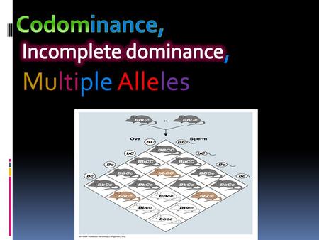 Codominance co- is together.  Refers to a relationship between two alleles of a gene. Both traits appear in an organism. They do not overpower each.