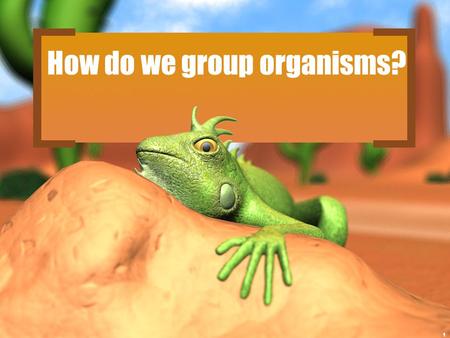 How do we group organisms? 1. 2 Classification 3 There are 13 billion known species of organisms There are 13 billion known species of organisms This.