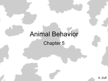 Animal Behavior Chapter 5 K. Duff This symbol means don’t write the text directly next to it unless you feel it will help you to better understand the.