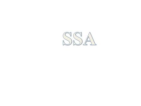 SSA:-COMPANY PROFILE: System Software Associates, Inc. (SSA) is founded in 1981 and has a headquarters in Chicago, USA. It has branches in more than 91.