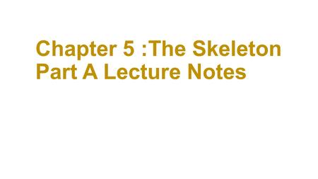 Chapter 5 :The Skeleton Part A Lecture Notes. The Skeletal System ***Quiz 1 Info Parts of the skeletal system Bones (skeleton) Joints Cartilages Ligaments.