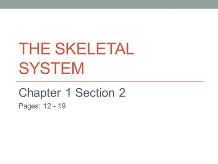 THE SKELETAL SYSTEM Chapter 1 Section 2 Pages: 12 - 19.