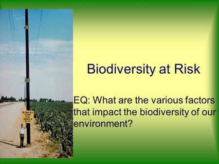 Biodiversity at Risk EQ: What are the various factors that impact the biodiversity of our environment?