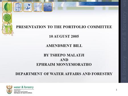 1 PRESENTATION TO THE PORTFOLIO COMMITTEE 10 AUGUST 2005 AMENDMENT BILL BY TSHEPO MALATJI AND EPHRAIM MONYEMORATHO DEPARTMENT OF WATER AFFAIRS AND FORESTRY.