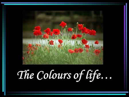 The Colours of life….