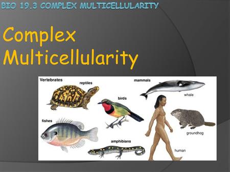 Complex Multicellularity. Kingdom Plantae: Plants are complex multicellular autotrophs; they have specialized cells and tissues. Most plants have several.