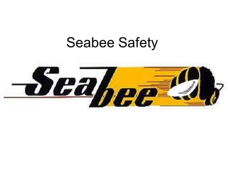 Seabee Safety. Republic Seabee (Seabeeasaurus) 1028 built in1946 &1947 List price started at $3995.00 Less than 500 parts A flying plane with a hull below-very.
