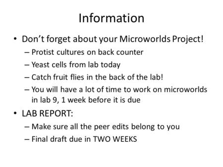 Information Don’t forget about your Microworlds Project! – Protist cultures on back counter – Yeast cells from lab today – Catch fruit flies in the back.