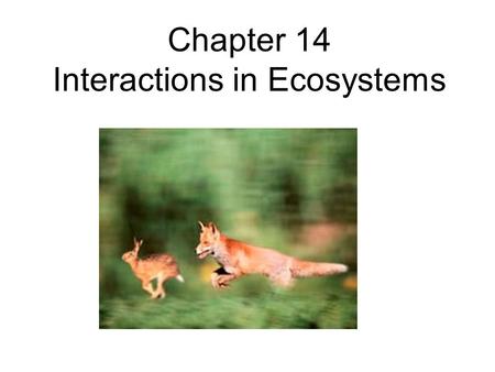 Chapter 14 Interactions in Ecosystems. Section 14.1 Habitat and Niche.