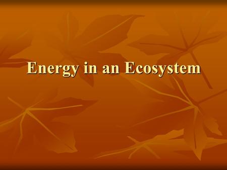 Energy in an Ecosystem. Get out your HW and grab your ecosystems…