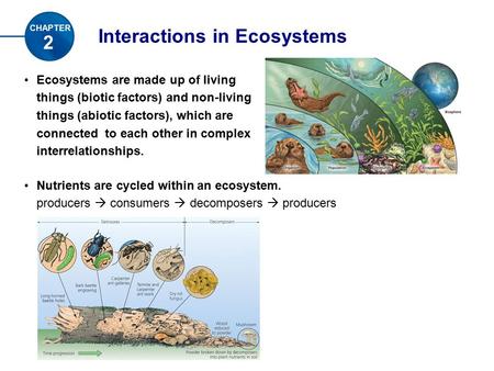 Interactions in Ecosystems 2 CHAPTER Ecosystems are made up of living things (biotic factors) and non-living things (abiotic factors), which are connected.