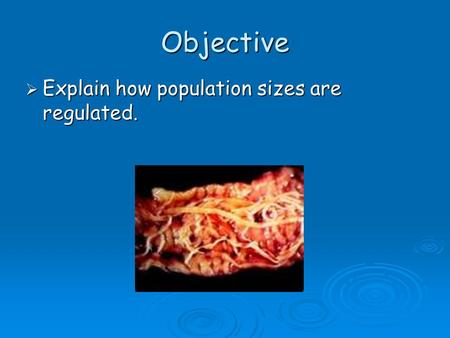 Objective  Explain how population sizes are regulated.