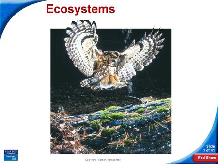 End Show Slide 1 of 41 Copyright Pearson Prentice Hall Ecosystems.