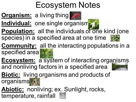 Ecosystem Notes Organism: a living thing