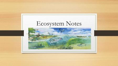 Ecosystem Notes. Ecosystem A system consisting of all of the interactions that occur between biotic and abiotic factors within a given area.