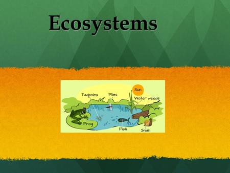 Ecosystems. First of all.. What is an ecosystem? Can you tell me what an ecosystem is in your own words? What about a biome ? Can you tell me what an.
