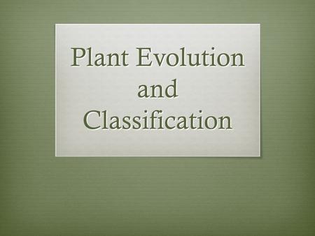 Plant Evolution and Classification. Adapting to Land  Life flourished in oceans for more than 3 billion years.  No organisms lived on land until about.