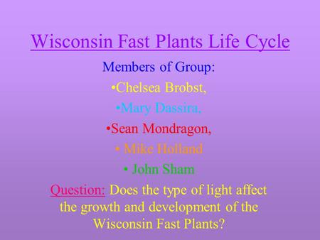 Wisconsin Fast Plants Life Cycle Members of Group: Chelsea Brobst, Mary Dassira, Sean Mondragon, Mike Holland John Sham Question: Does the type of light.