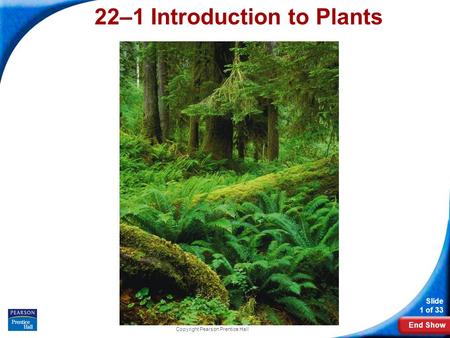 End Show Slide 1 of 33 Copyright Pearson Prentice Hall 22–1 Introduction to Plants.