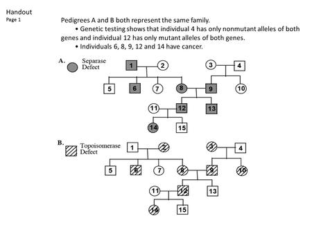 Pedigrees A and B both represent the same family. Genetic testing shows that individual 4 has only nonmutant alleles of both genes and individual 12 has.