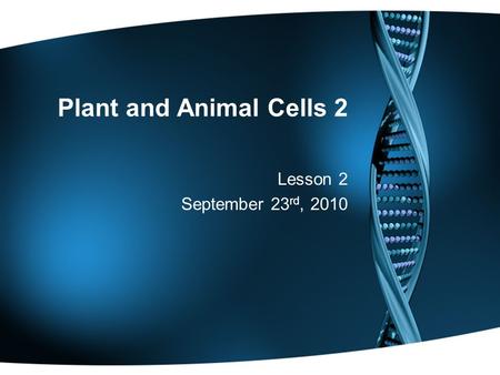 Plant and Animal Cells 2 Lesson 2 September 23 rd, 2010.