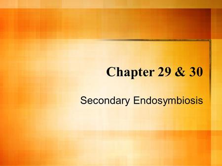 Chapter 29 & 30 Secondary Endosymbiosis. The Eukaryotic Lineage Eukaryotes are believed to have arisen as a result of symbiosis. All prokaryotes have.