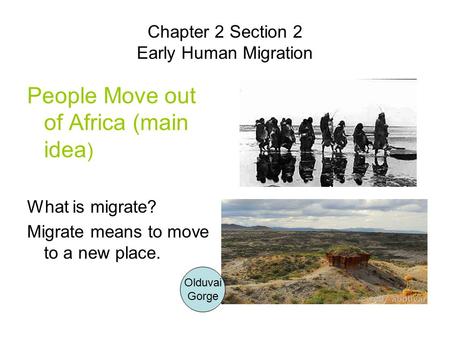 Chapter 2 Section 2 Early Human Migration People Move out of Africa (main idea ) What is migrate? Migrate means to move to a new place. Olduvai Gorge.
