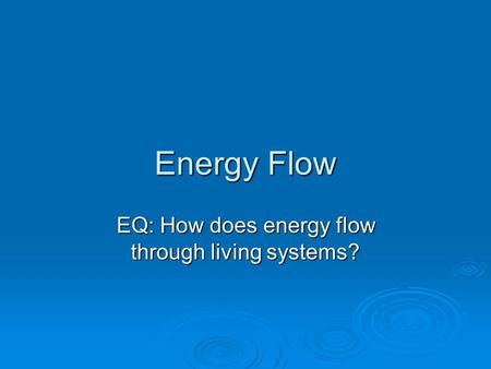 Energy Flow EQ: How does energy flow through living systems?