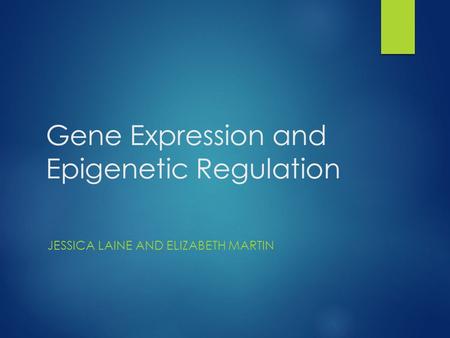 Gene Expression and Epigenetic Regulation JESSICA LAINE AND ELIZABETH MARTIN.