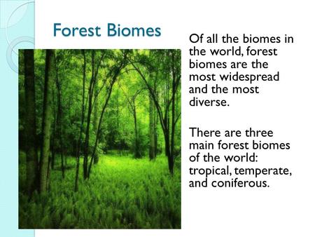 Forest Biomes Of all the biomes in the world, forest biomes are the most widespread and the most diverse. There are three main forest biomes of the world: