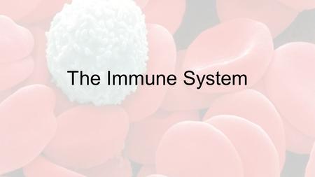 The Immune System. Vocabulary! 1.Pathogen 2.Immune System 3.Mucous Membrane 4.Phagocytes 5.Spleen 6.Lymph Nodes 7.Antigen 8.Histamine 9.Autoimmune Disease.