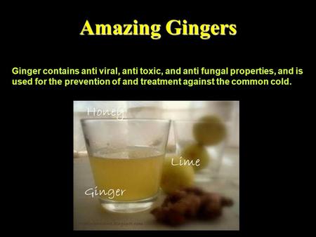 Ginger contains anti viral, anti toxic, and anti fungal properties, and is used for the prevention of and treatment against the common cold. Amazing Gingers.